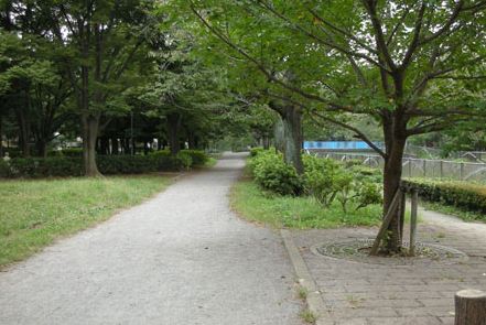 東京都杉並区成田西２丁目 公園