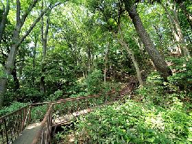 中町4丁目準貸家 公園