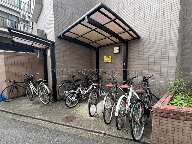 コスモフラワー その他