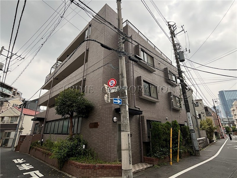 コスモフラワー その他