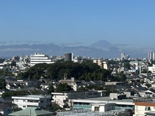 井草サマリヤマンション 眺望
