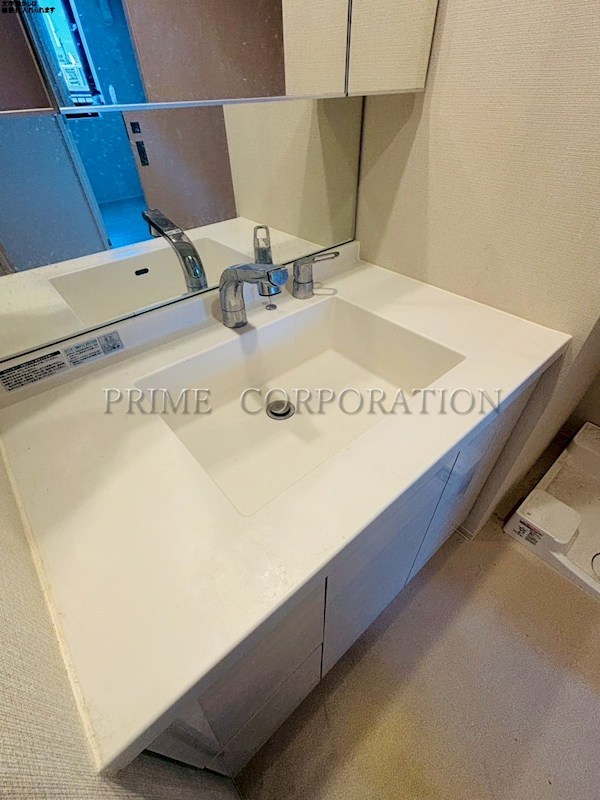 343 RESIDENCE MEGUROⅡ 洗面所
