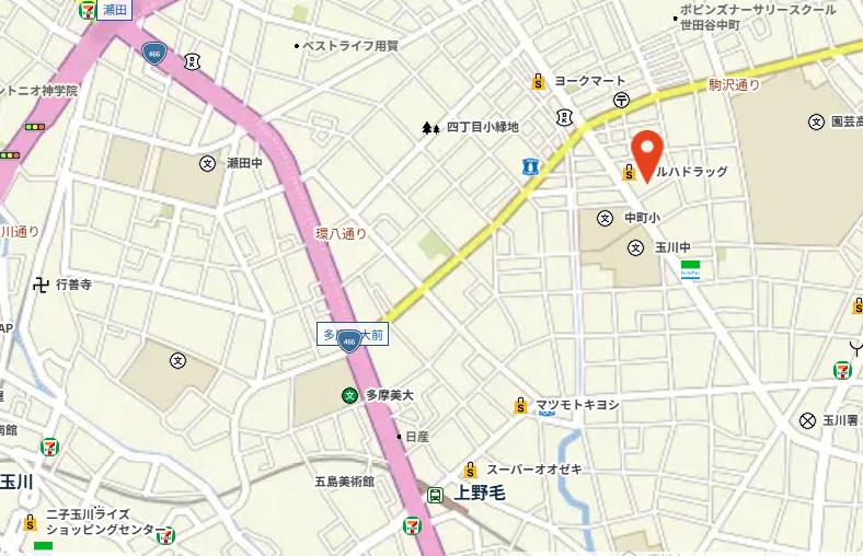 ジオ上野毛 地図（共通）