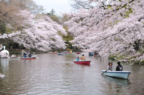 三鷹市井の頭3丁目戸建 公園