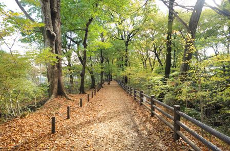 サンハイツもえぎ 公園