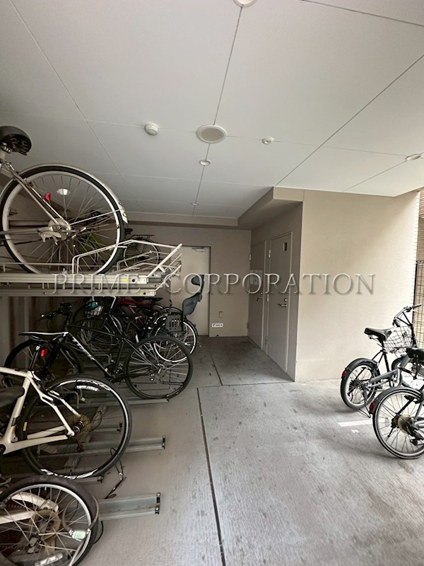 LUPINUS COURT その他