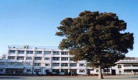 東京都世田谷区経堂３丁目 中学校