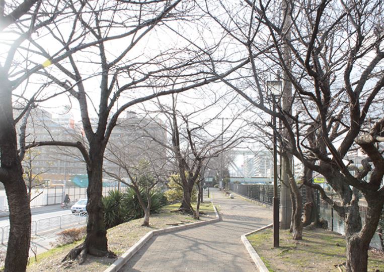 コンフォリア・リヴ西大島SOUTH 公園