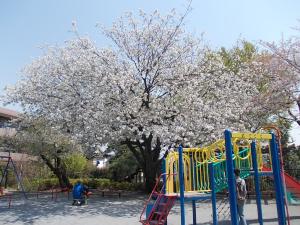 東京都大田区東雪谷５丁目 公園