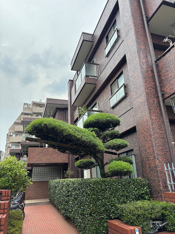 スカイハイツ鷺宮  その他外観4