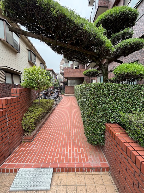 スカイハイツ鷺宮  その他外観5