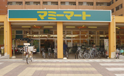 カトレアハウス スーパー