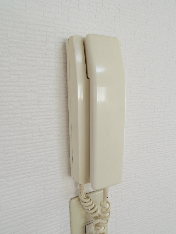 ピアーハイツ セキュリティ