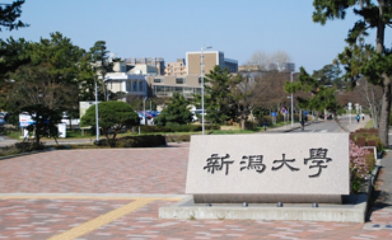 サンクレスト 大学・短大