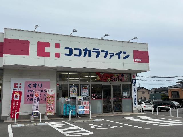 ヴィヴァレス その他