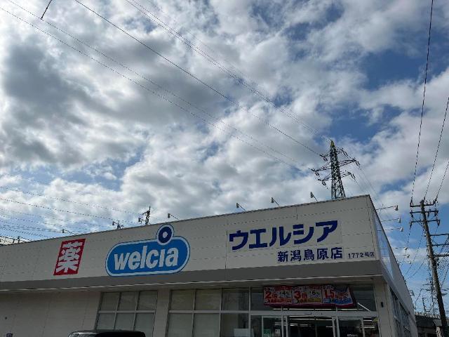 ウェル　ビーイング その他