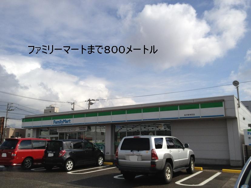 ハーティネスⅠ その他