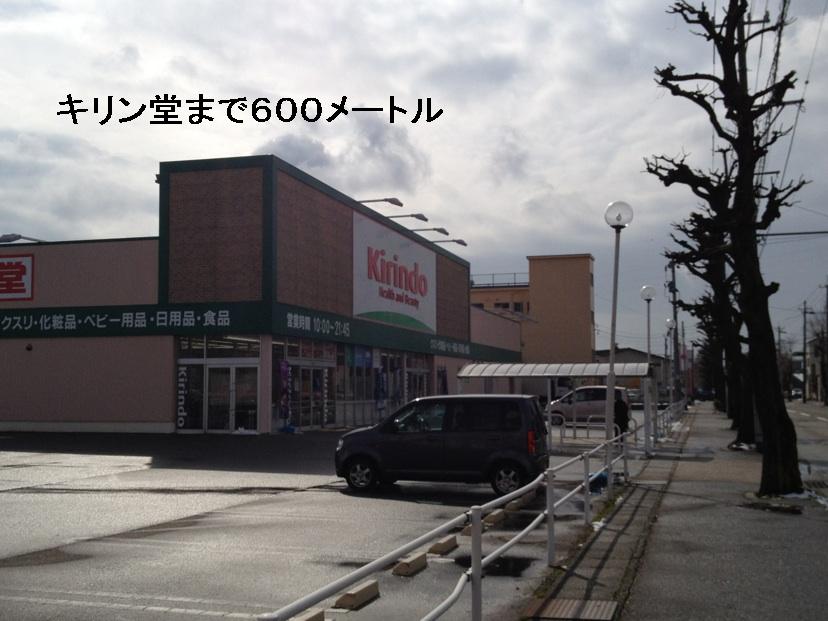 ハーティネスⅠ その他