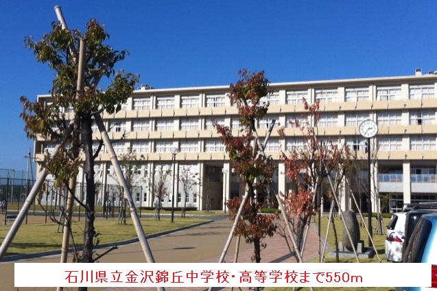 プリムローズ・Ｋ その他