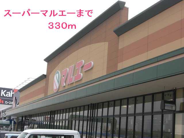 リンデン その他