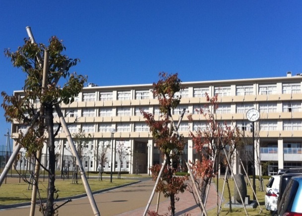 リノテラス その他