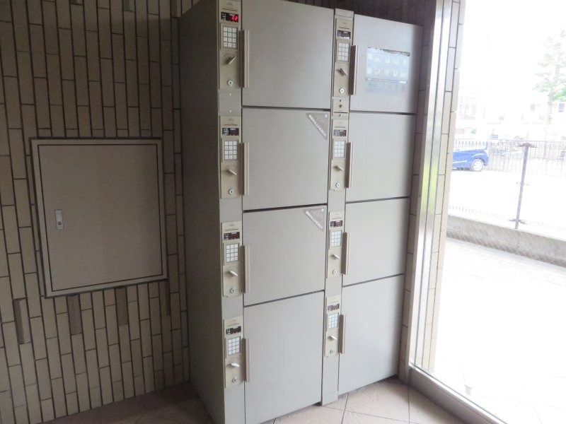 クリア・パーシモン  その他2