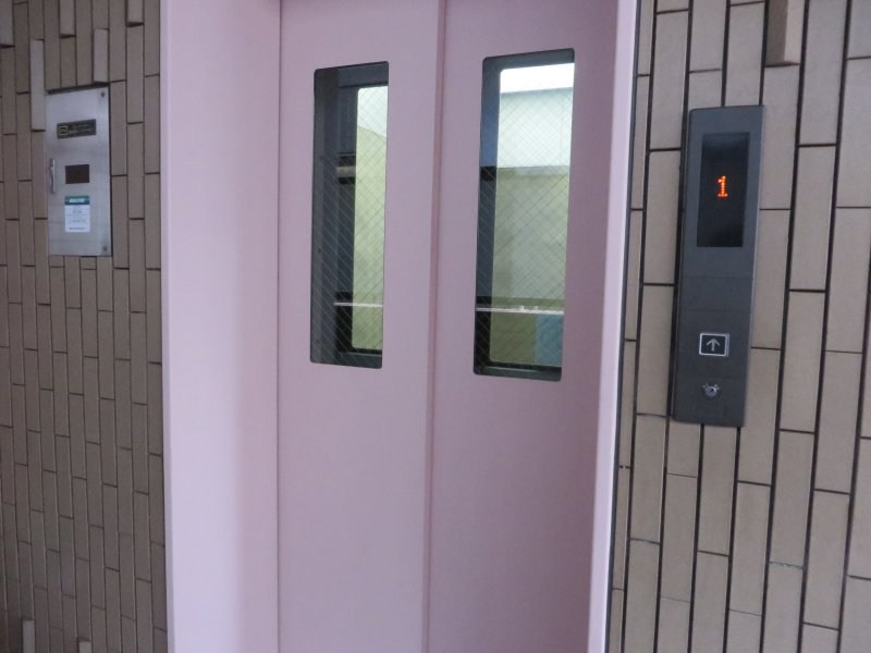 クリア・パーシモン  その他11