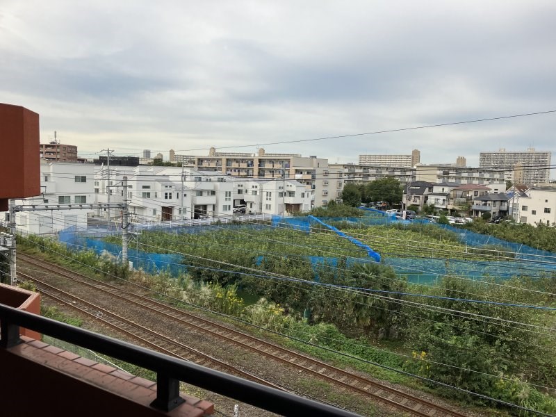 ハーモニウス その他7