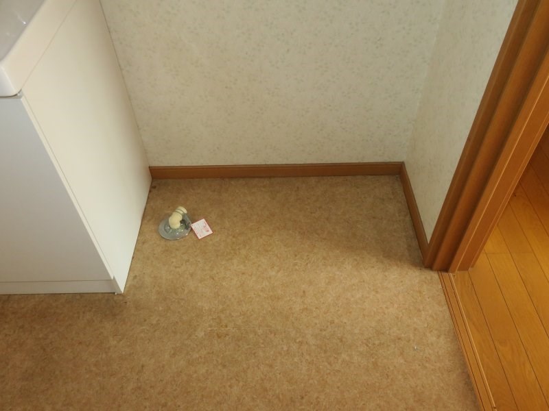 トマトハウスⅡ  その他4