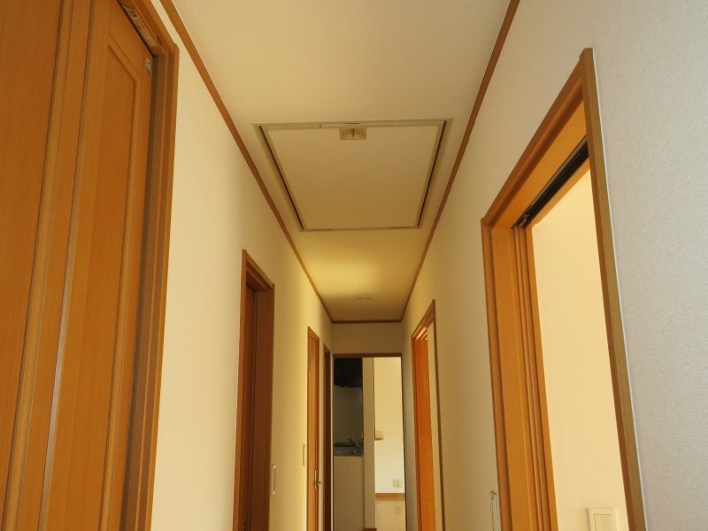 トマトハウスⅡ  その他20