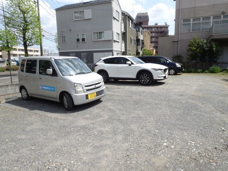 藤フラッター その他1