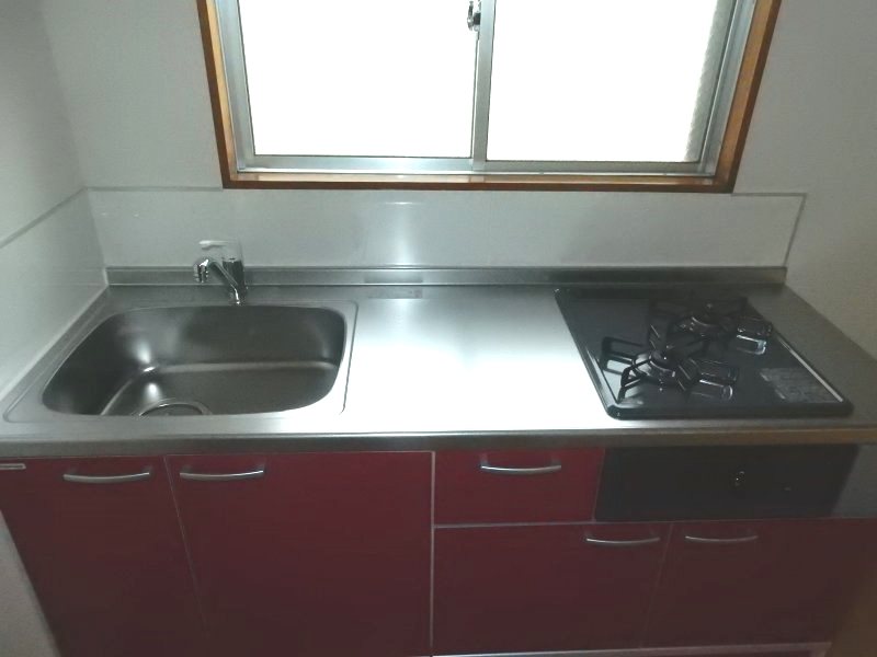 藤フラッター その他10