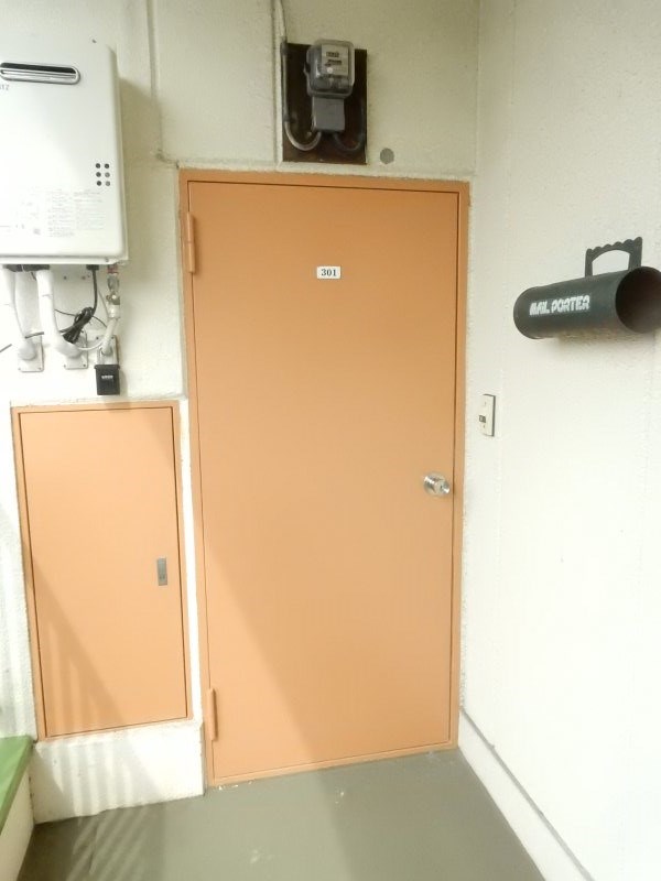 藤フラッター その他11