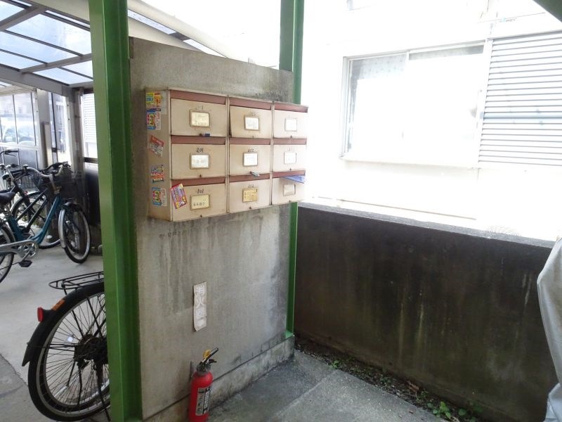 藤フラッター その他12