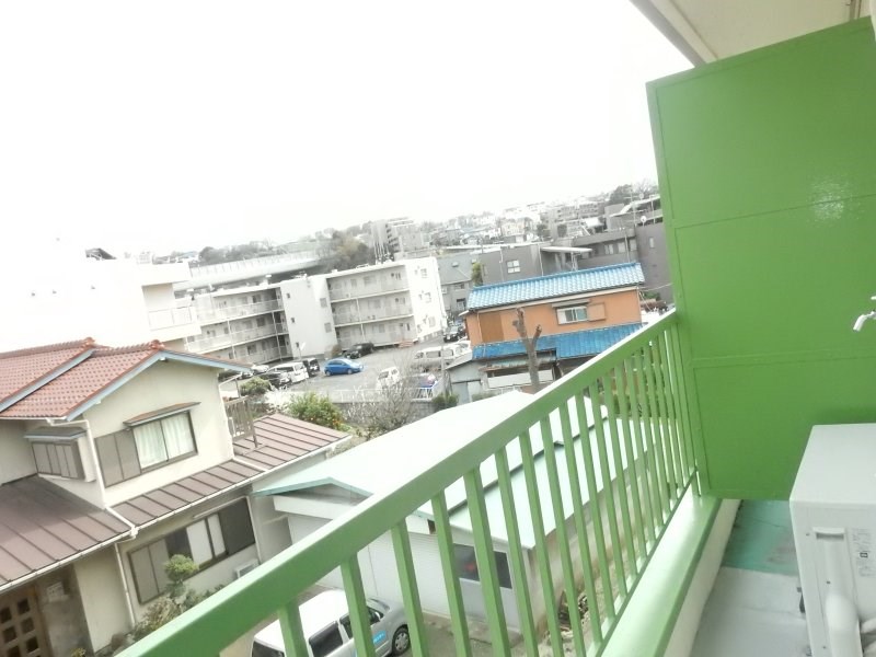 藤フラッター ベランダ