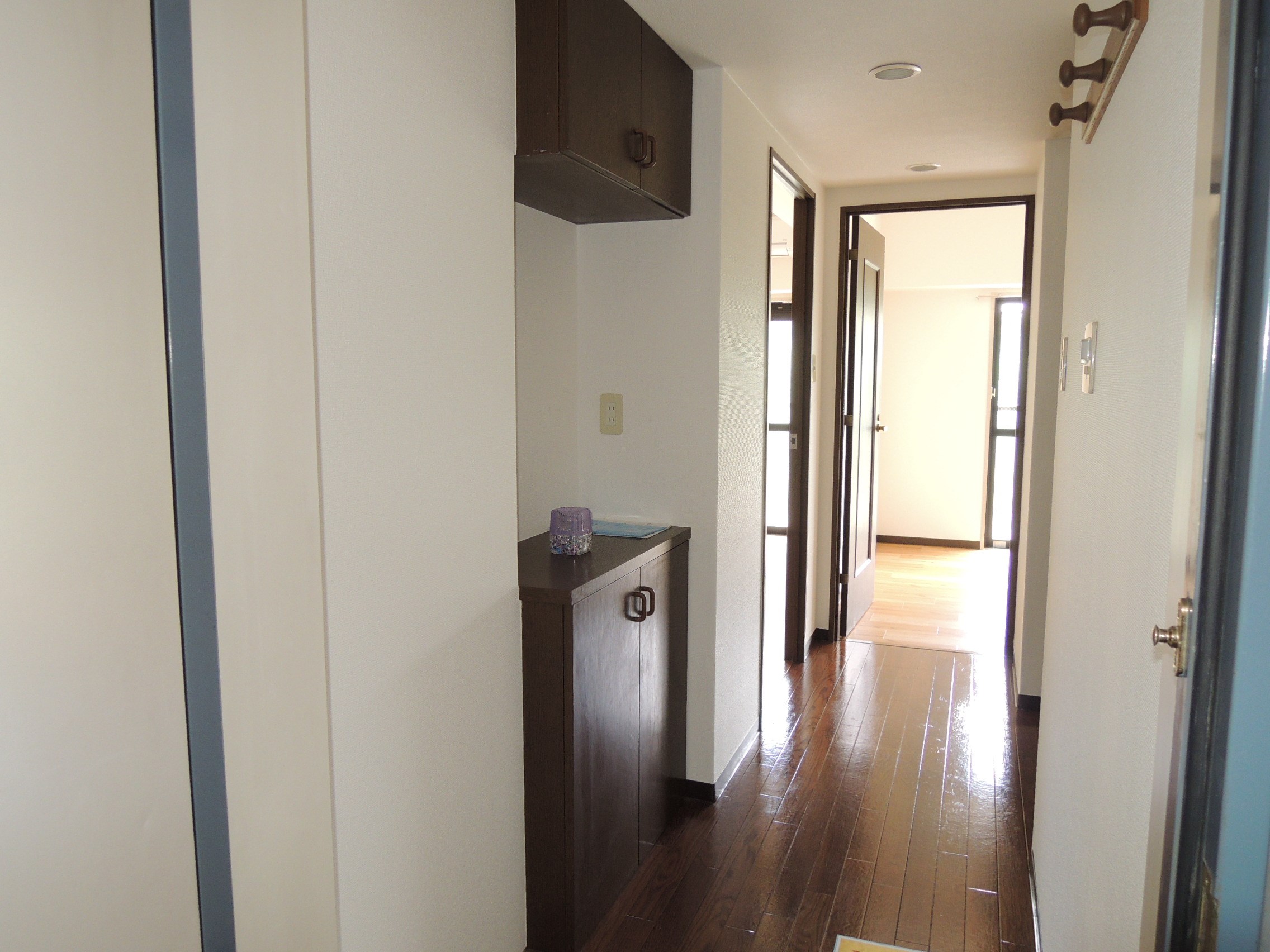 ドルチェ中野島 その他12