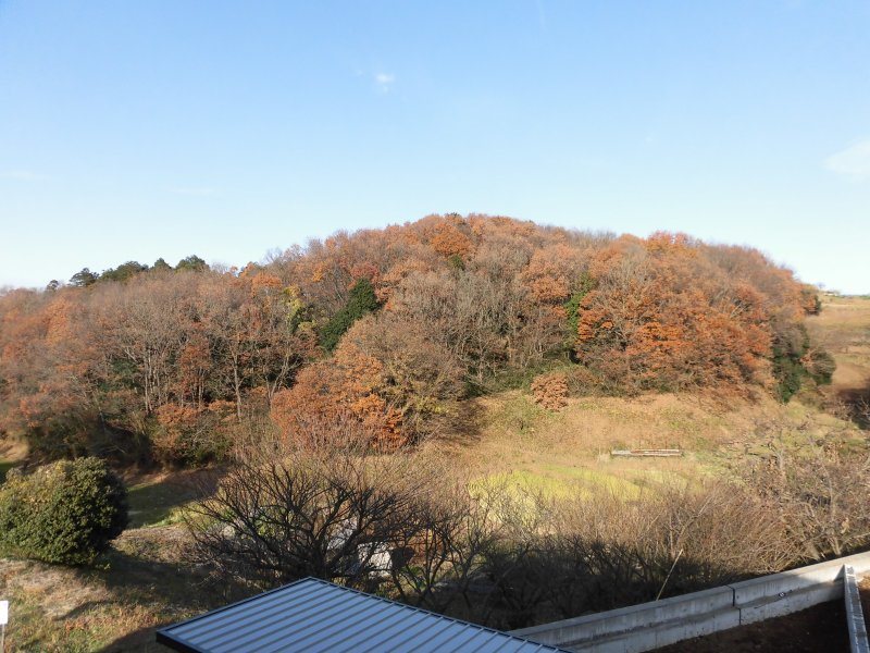 レジデンス大塚   その他22