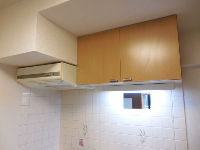 ニューフォレスト その他10
