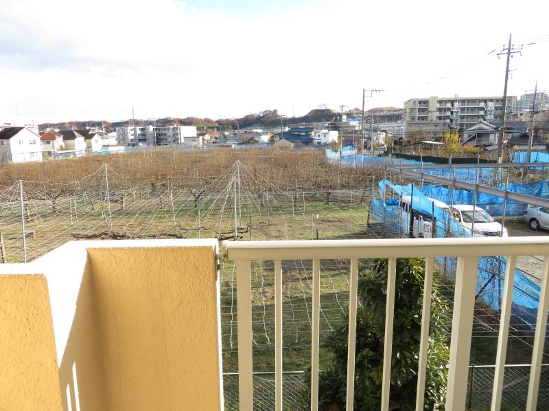 サングリーン3 その他17