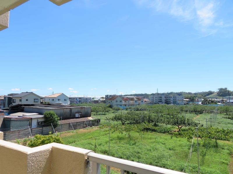 サングリーン3 その他21