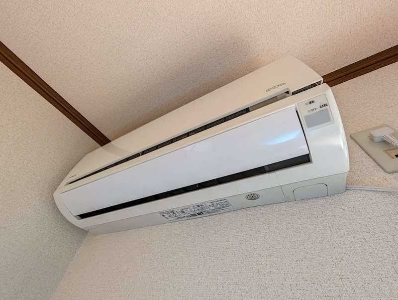 ファインヒルマツバ  その他3