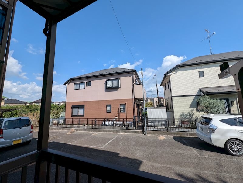 ファインヒルマツバ  その他6