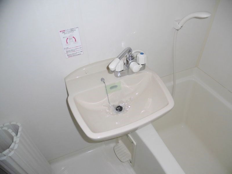 ビューテラスレモン  その他2