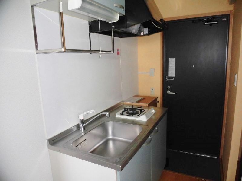 ビューテラスレモン  その他8