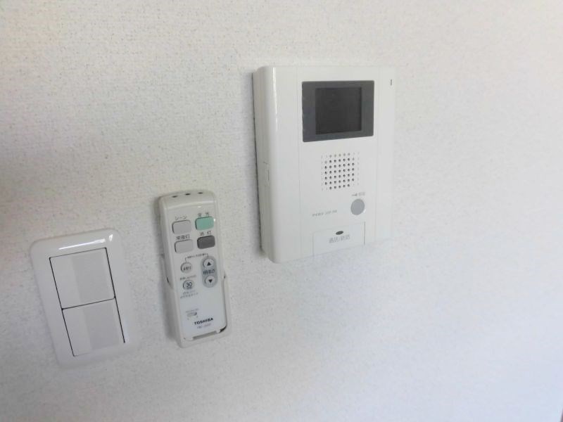 ビューテラスレモン  その他10