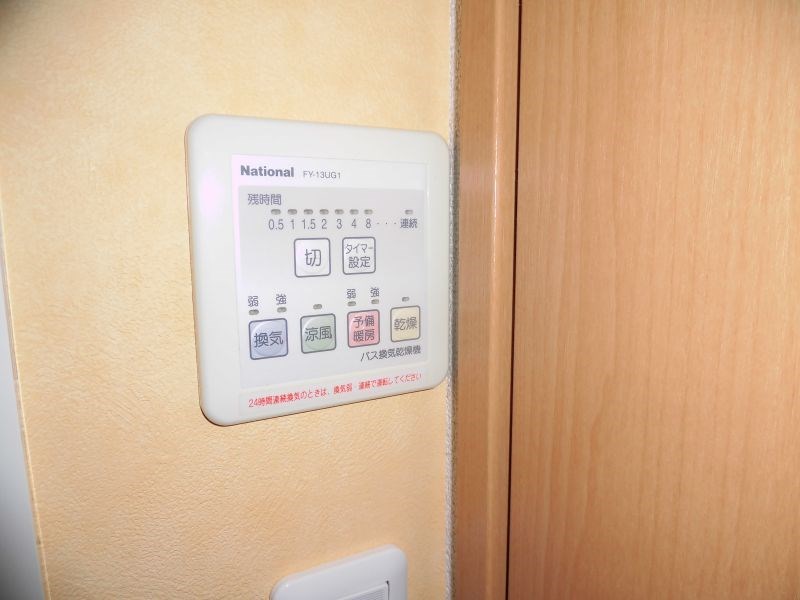 ビューテラスレモン  その他11