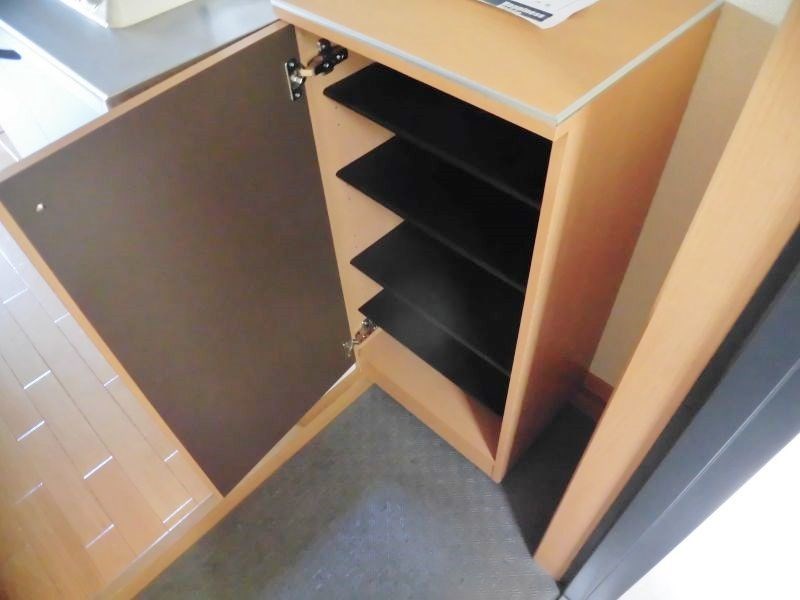 ビューテラスレモン  その他12