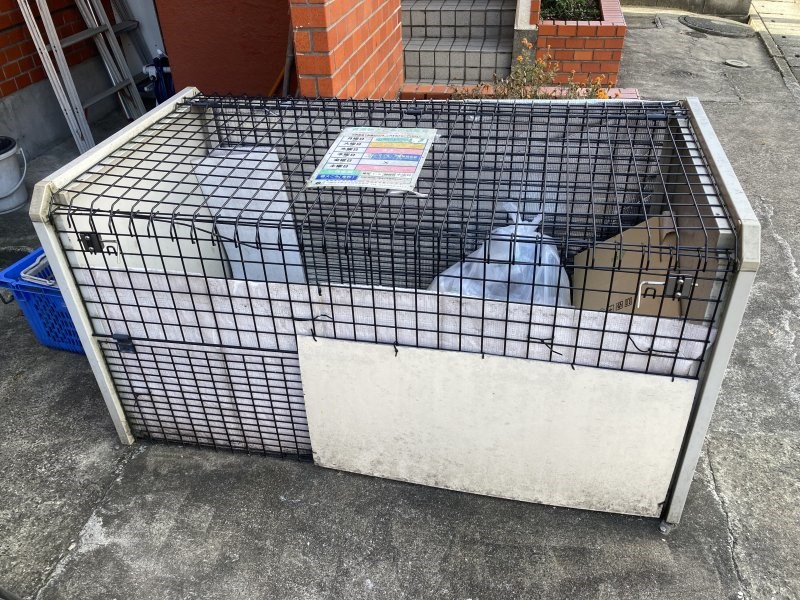 フォーレストハイツ その他14