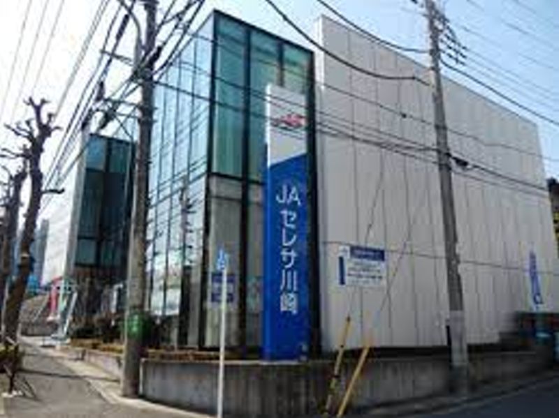 山本テラス 周辺画像7