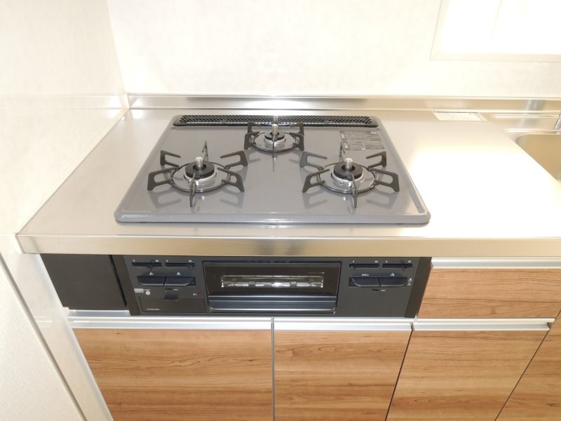 ルミナスF その他16